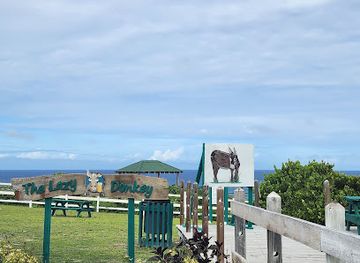 turks-and-caicos-islands/cockburn-town/nightclub/donkey-lazy-bar