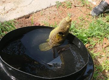 sri-lanka/southern-province/nightclub/sweetheart-by-club-mirissa