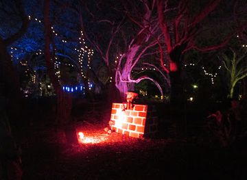 Wonderland By Night