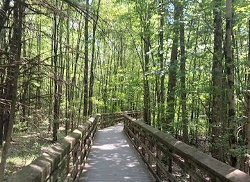 new-jersey/great-swamp-national-wildlife-refuge/nightclub/great-swamp-wildlife-observation-center