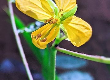 niger/niamey/quartier-plateau/nightclub/chez-boubaler