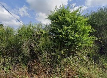 kenya/samburu-national-reserve/nightclub/dc-members-club