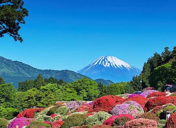 japan/hakone/nightclub/yamano-lounge-bar