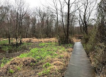 new-jersey/great-swamp-national-wildlife-refuge/nightclub/great-swamp-national-wildlife-refuge-wilderness-area