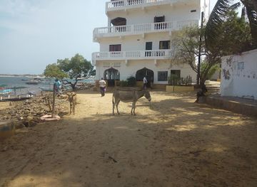 kenya/lamu-island/nightclub/stop-over-restaurant