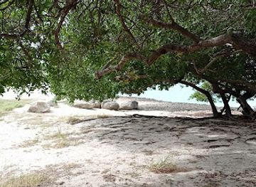 aruba/eagle-beach/nightclub/beach-club