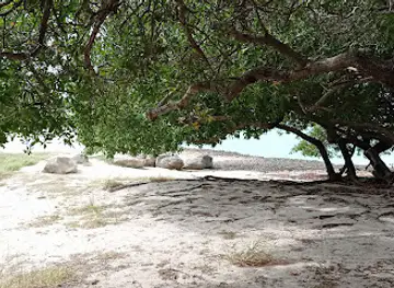 Beach Club