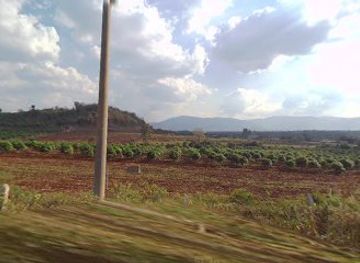 cambodia/pailin/nightclub/coffee-phnom