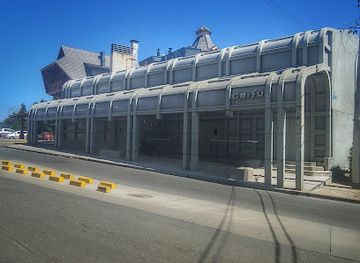 Grisú
