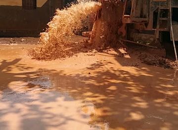 central-african-republic/dzanga-ndoki-national-park/nightclub/ele-songo