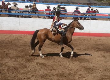 chile/valle-de-la-luna/nightclub/media-luna-club-de-huasos-los-aromos-de-campo-lindo
