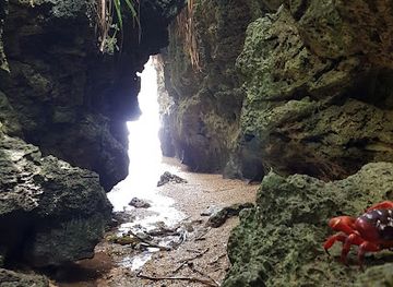 christmas-island/hugh-s-dale-waterfall/nightclub/the-dales