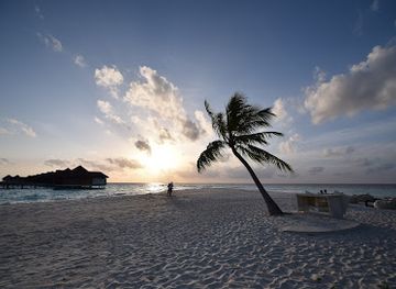 Beach Bar