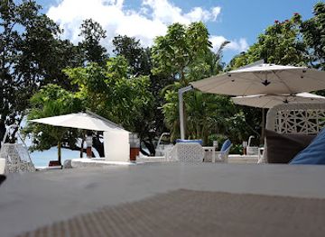 Gecko Bar