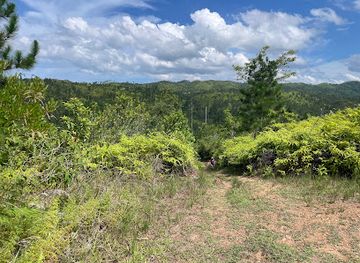 belize/cockscomb-basin-wildlife-sanctuary/nightclub/cockscomb-basin-wildlife-sanctuary-parking