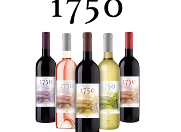 bolivia/amboro-national-park/nightclub/vinos-1750-uvairenda-bodega-y-vinedos