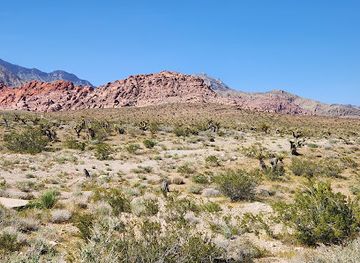 nevada/red-rock-canyon-national-conservation-area/nightclub/red-rock-canyon