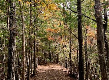 japan/kumano-kodo/nightclub/kumano-kodo-nakahechi-pilgrimage-route