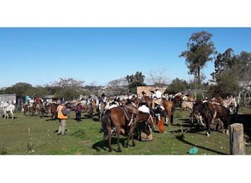 uruguay/rivera/nightclub/galpon-de-la-agrupacion-te-arremanga-e-vem