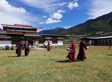 bhutan/phobjikha-valley/nightclub/the-valley-camp