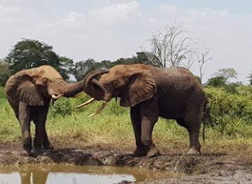 kenya/tsavo-national-park/nightclub/tsavo-safari-camp