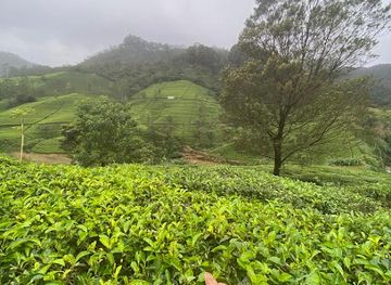 sri-lanka/pinnawala-elephant-orphanage/nightclub/nuwaraeliya