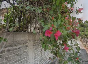 mexico/mexico-city/xochimilco/nightclub/natidrinks