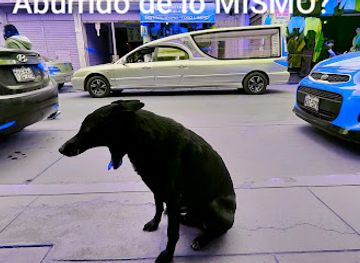 peru/huancayo/nightclub/xanadu-club