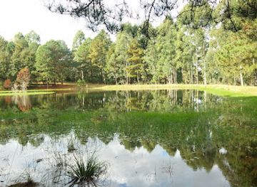 uruguay/rivera/nightclub/chacra-banco-republica