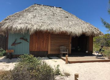 british-virgin-islands/anegada-beaches/nightclub/a-touch-of-the-caribbean-at-anegada-beach-club