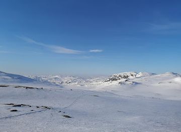 norway/rauland/nightclub/telemark-husky-tour