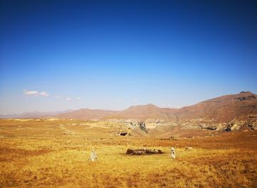 south-africa/golden-gate-highlands-national-park/nightclub/vulture-hide-golden-gate