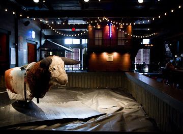 michigan/sleeping-bear-dunes-national-lakeshore/nightclub/wild-bull