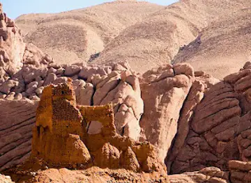 Pattes Des Singes