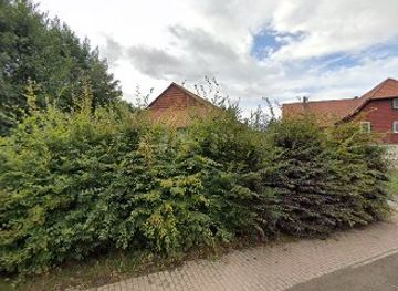 germany/harz-mountains/nightclub/palithi-discotheque