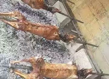 albania/tomorr-mountain/nightclub/gogonare-pajos