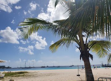 barbados/christ-church/nightclub/the-boatyard-beach-club