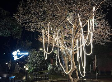 south-korea/jeju-city/jungmun/nightclub/wavvvve