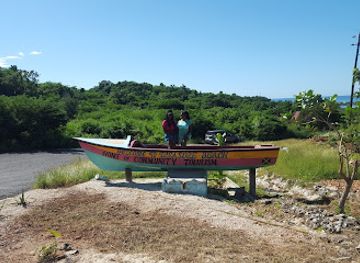 jamaica/treasure-beach-area/nightclub/lotus-view-bar