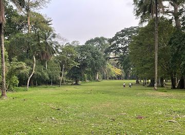 nigeria/iita-forest-reserve/nightclub/iita-golf-course