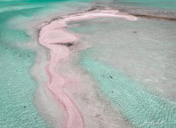 french-polynesia/rangiroa/nightclub/rangiroa-activities