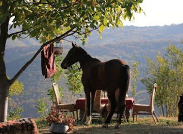 georgia/signagi/nightclub/lost-ridge-horse-ranch-former-living-roots