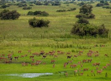 Gambella National Park