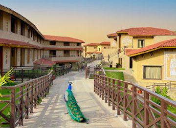 india/ranthambore/nightclub/aamaghati-wildlife-resort-ranthambore