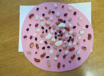 tennessee/bristol-motor-speedway/nightclub/the-snardvark-s-den