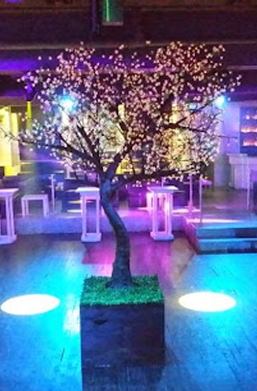 sachin and babi light blue dress dress code for Las Vegas clubs #lasvegas #vegaspromoter #guestlist  #explorepage #dresscode 