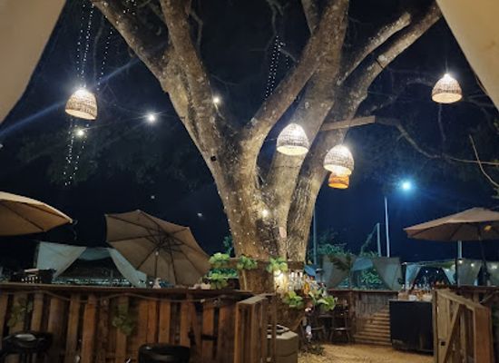 belize/san-ignacio/nightclub/booze-branches