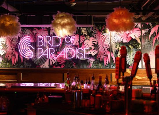 ohio/cleveland/nightclub/bird-of-paradise