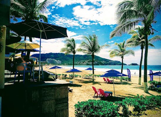 mexico/costa-grande/nightclub/the-go-mexico-the-go-ixtapa-zihuatanejo-tequila-rock-n-blues-explosion-festival-international