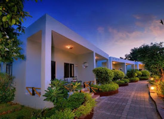 india/ranthambore/nightclub/treehouse-the-pugmark-ranthambore